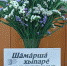 0ebff7cb-e27b-480c-9c1d-72a7c5789cdf.jpg - Газета Шемуршинские вести