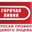 О проведении «горячей линии» по профилактике клещевого энцефалита и инфекций, передающихся клещами - Шемуршинский район
