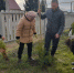 В Большебуяновском территориальном отделе Шемуршинского муниципального округа прошел экологический субботник по посадке деревьев. - Шемуршинский район